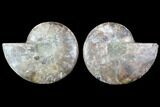 Cut & Polished Ammonite Fossil - Agatized #91162-1